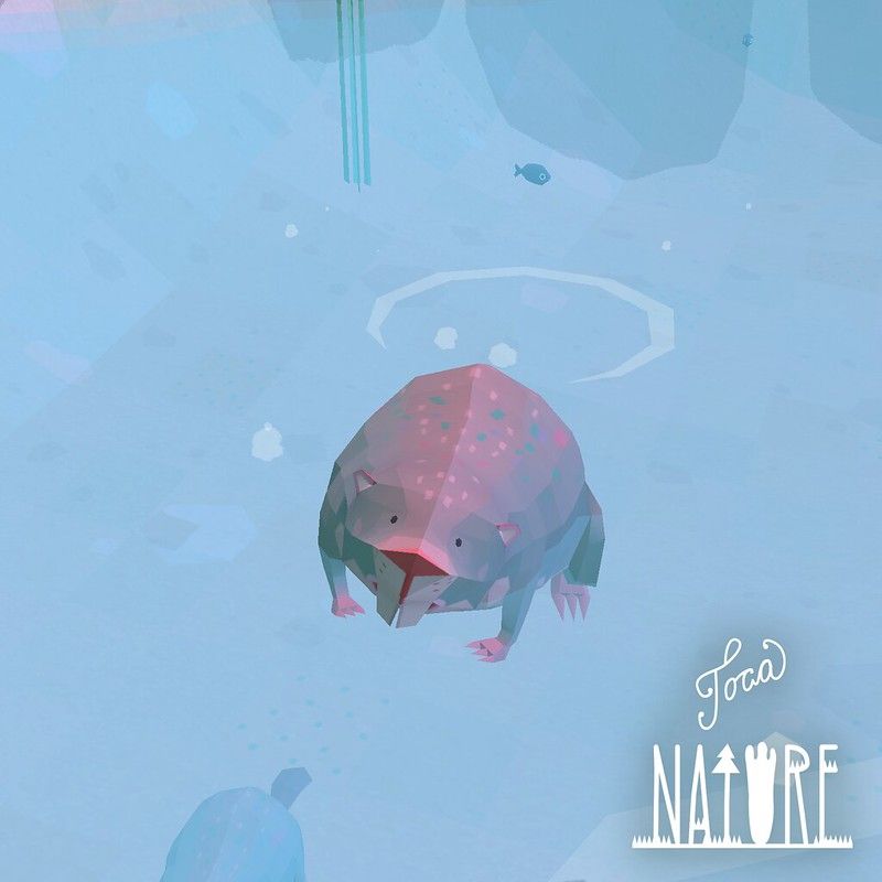 toca_nature